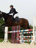 DSC04650 DSC04650