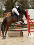 DSC04658 DSC04658