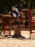 DSC00584 DSC00584