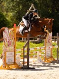 DSC00586 DSC00586
