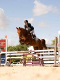 DSC00588 DSC00588