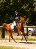 DSC00590 DSC00590
