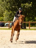 DSC00596 DSC00596