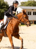 DSC00597 DSC00597