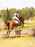 DSC04141 DSC04141