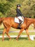 DSC09348 DSC09348