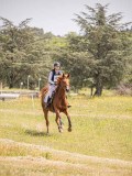 IMG_9578 IMG_9578
