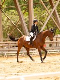 DSC06236 DSC06236