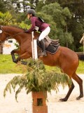 DSC06693 DSC06693