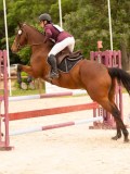 DSC06694 DSC06694