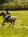 DSC01366 DSC01366