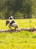 DSC01368 DSC01368