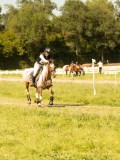 DSC01383 DSC01383