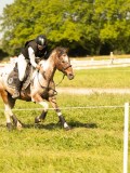 DSC01384 DSC01384
