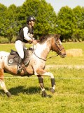 DSC01385 DSC01385