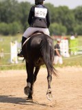 DSC09050