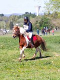 IMG_1062