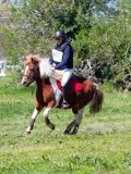 IMG_1066