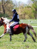 IMG_1073