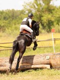 DSC03865 DSC03865
