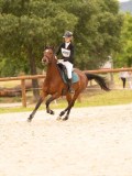 DSC06505 DSC06505