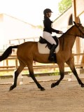 DSC07340 DSC07340