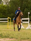 DSC08453 DSC08453