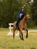 DSC08454 DSC08454