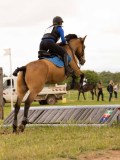 DSC08456 DSC08456