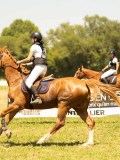 DSC00435 DSC00435