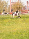 SGE05159