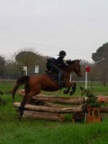 IMG_0417 IMG_0417