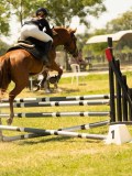 DSC00566 DSC00566