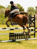 DSC00568 DSC00568