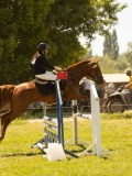 DSC00575 DSC00575