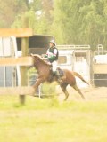 DSC06905