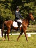 DSC09419 DSC09419