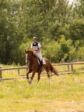 DSC04499 DSC04499