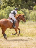 IMG_9742