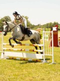DSC00548 DSC00548