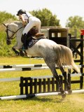 DSC00549 DSC00549