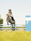 DSC00559 DSC00559