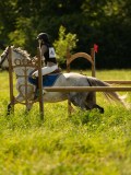 DSC01394 DSC01394