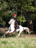 IMG_6337