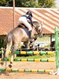 DSC09180