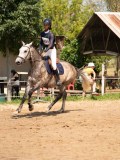 DSC09197