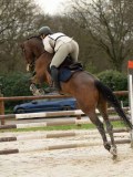 DSC04718 DSC04718