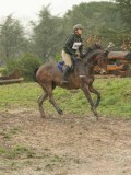 DSC05766 DSC05766