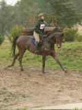 DSC05767 DSC05767