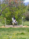 IMG_1080 IMG_1080